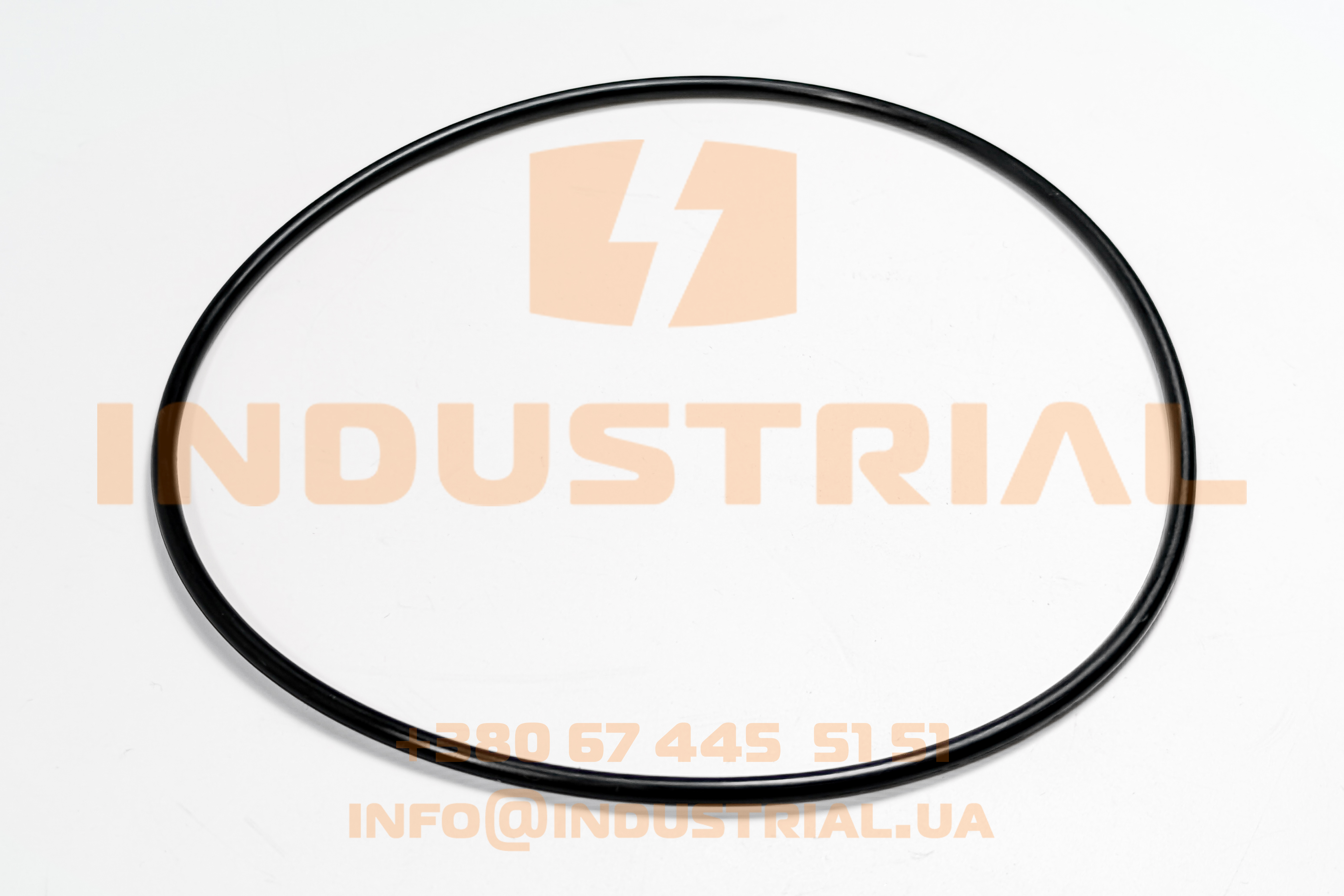CHG 5232072 CHICAGO RAWHIDE SKF